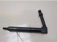 166005M312 Форсунка топливная Nissan Almera N16 2000-2006 20406306 #1