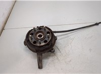 Ступица (кулак, цапфа) Hyundai Tucson 1 2004-2009 20405179 #1