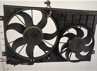  Вентилятор радиатора Skoda Octavia (A5) 2004-2013 20406509 #1