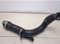  Патрубок интеркулера BMW X2 (F39) 2017-2023 20406676 #1