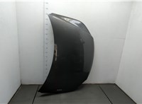  Капот Volkswagen Tiguan 2011-2016 20406819 #1