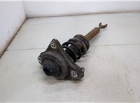  Амортизатор подвески Audi A6 (C6) 2004-2011 20406882 #3