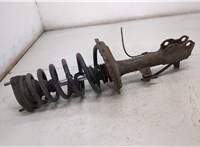  Амортизатор подвески Lexus RX 2003-2009 20406895 #1