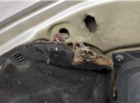  Капот Citroen Jumper (Relay) 2006-2014 20406919 #5
