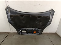 60100SWWG00ZZ Капот Honda CR-V 2007-2012 20407109 #6