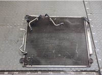 Радиатор кондиционера Cadillac SRX 2004-2009 20407269 #1