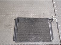  Радиатор кондиционера BMW X5 E53 2000-2007 20407277 #1