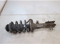  Амортизатор подвески Chevrolet Aveo (T250 / 255) 2008-2011 20407291 #1