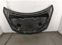  Капот Nissan Murano 2002-2008 20407394 #9