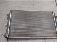  Радиатор охлаждения двигателя Skoda Octavia (A5) 2004-2013 20407396 #5
