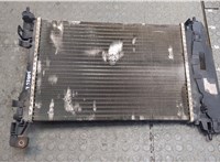  Радиатор охлаждения двигателя Fiat Punto Evo 2009-2012 20407417 #1