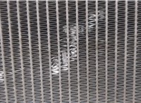 214601BY0A Радиатор охлаждения двигателя Infiniti FX 2008-2013 20407449 #6