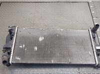  Радиатор охлаждения двигателя Citroen Jumper (Relay) 2006-2014 20407563 #1
