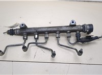 0281002507, 23937348 Рампа (рейка) топливная KIA Carens 2006-2012 20407599 #1