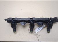 Форсунка топливная Skoda Fabia 2007-2014 20407691 #1