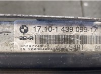  Радиатор охлаждения двигателя BMW X5 E53 2000-2007 20407864 #6