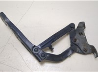  Петля капота Opel Corsa D 2006-2014 20408291 #1