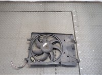  Вентилятор радиатора Fiat Punto Evo 2009-2012 20408329 #1