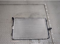  Радиатор охлаждения двигателя Seat Leon 2 2005-2012 20408810 #1