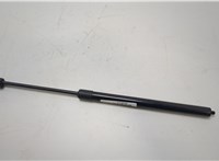  Амортизатор стекла багажника Nissan Pathfinder 2004-2014 20408912 #1
