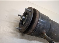  Амортизатор подвески Lexus LS460 2006-2012 20409025 #2