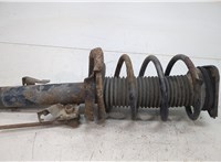  Амортизатор подвески Ford Focus 2 2008-2011 20409057 #6