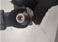 a6460701487 Форсунка топливная Mercedes Vito W639 2004-2013 20409152 #7