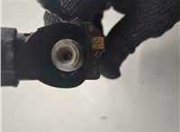 a6460701487 Форсунка топливная Mercedes Vito W639 2004-2013 20409152 #9