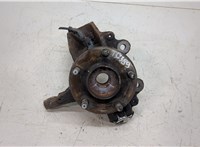  Ступица (кулак, цапфа) Ford Focus 2 2008-2011 20409274 #1