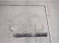  Радиатор гидроусилителя Volkswagen Touareg 2007-2010 20409293 #1