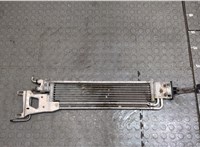  Радиатор масляный Mercedes E W212 2009-2016 20409326 #3