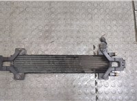  Радиатор АКПП Chrysler Pacifica 2003-2008 20409333 #2