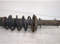  Амортизатор подвески Volkswagen Golf 4 1997-2005 20409354 #5