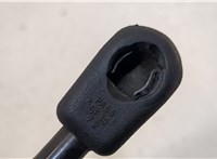  Амортизатор крышки багажника Volkswagen Golf 5 2003-2009 20409384 #3