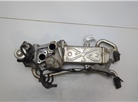 Клапан рециркуляции газов (EGR) Skoda Fabia 2007-2014 20409500 #1