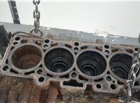  Блок цилиндров (Шорт блок) Skoda Fabia 2007-2014 20409504 #7