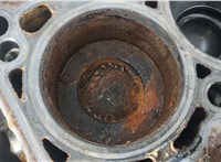  Блок цилиндров (Шорт блок) Skoda Fabia 2007-2014 20409504 #8