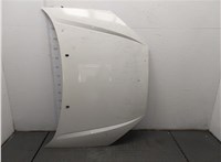  Капот Ford Focus 1 1998-2004 20409574 #1