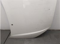  Капот Ford Focus 1 1998-2004 20409574 #10