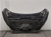  Обшивка капота Ford C-Max 2010-2015 11398751 #7