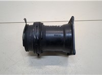  Измеритель потока воздуха (расходомер) Audi A4 (B6) 2000-2006 20409733 #1