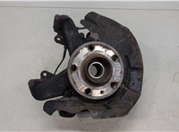  Ступица (кулак, цапфа) Skoda Fabia 2007-2014 20409760 #1