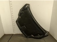  Капот Ford Focus 2 2008-2011 20409778 #2
