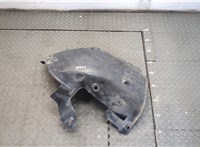  Защита арок (подкрылок) Renault Scenic 2003-2009 20409940 #1