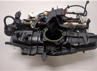 06H906036P Коллектор впускной Volkswagen Passat CC 2012-2017 20410099 #1