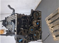  Блок цилиндров (Шорт блок) Mercedes E W212 2009-2016 20410103 #1