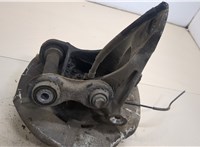 33406867811, 6867811 Ступица (кулак, цапфа) BMW X5 E70 2006-2013 20410350 #4