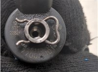 8200238528, 0445110021 Форсунка топливная Renault Scenic RX4 1999-2004 20410646 #4