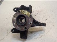 Ступица (кулак, цапфа) Renault Megane 2 2002-2009 20411057 #1