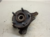  Ступица (кулак, цапфа) Hyundai Tucson 1 2004-2009 20411075 #1